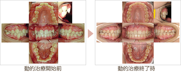 大和市・アポロニアデンタルクリニック