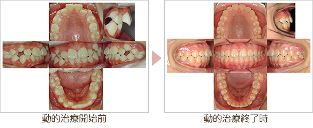大和市・アポロニアデンタルクリニック