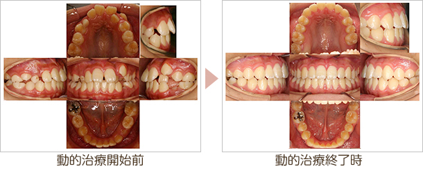 大和市・アポロニアデンタルクリニック