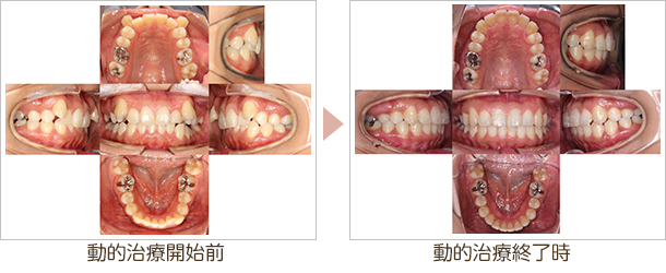 大和市・アポロニアデンタルクリニック