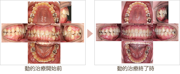 大和市・アポロニアデンタルクリニック