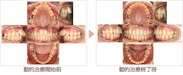 大和市・アポロニアデンタルクリニック